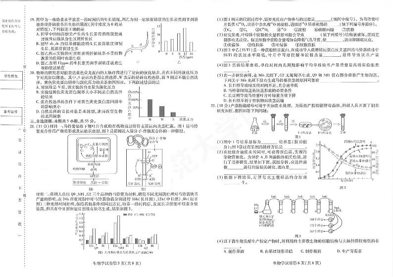 2024年东北三省三校高三四模联考生物试卷和答案03
