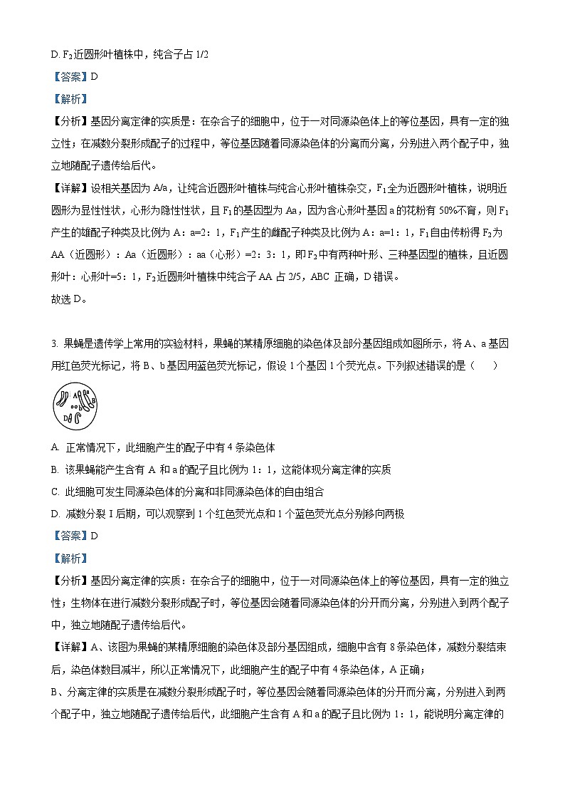 山东省联考2023-2024学年高一下学期5月月考生物试题(教师版)第2页