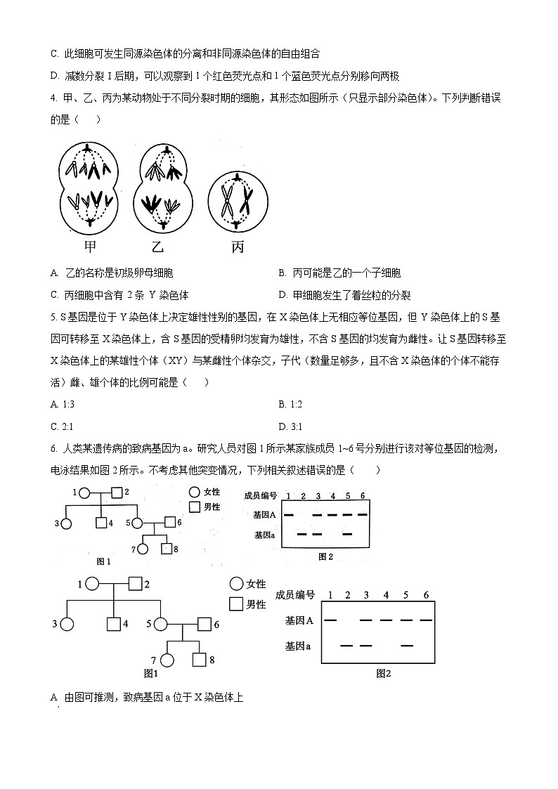 山东省联考2023-2024学年高一下学期5月月考生物试题(学生版)第2页