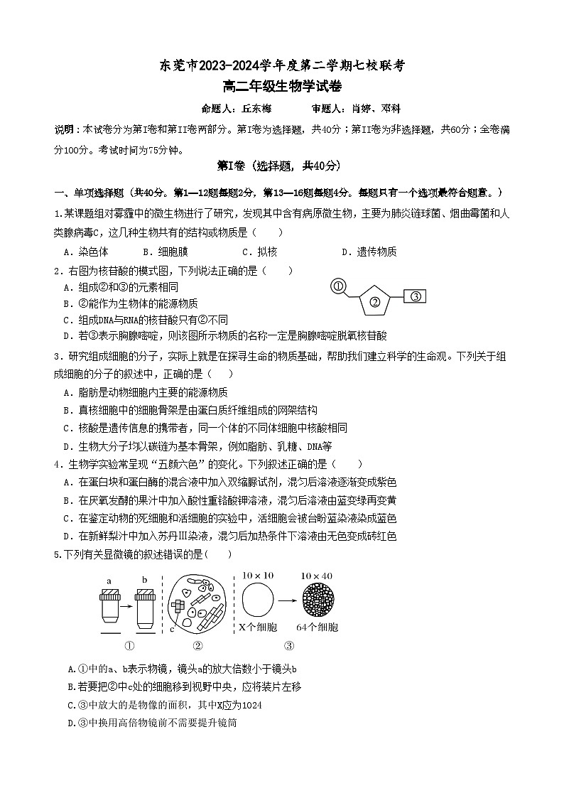 广东省东莞市七校联考2023-2024学年高二下学期5月月考生物试卷(Word版附答案)第1页