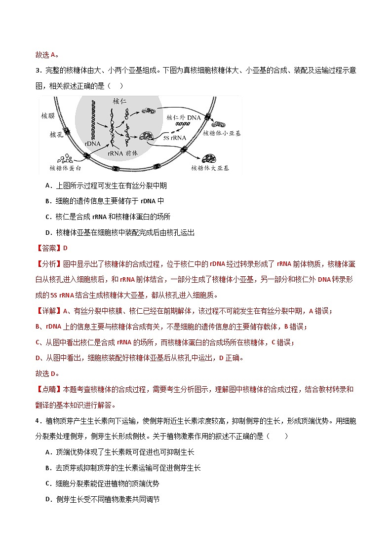 04(解析版)- 备战2024年高考生物模拟卷(全国卷专用)第3页