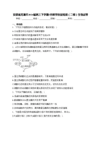 安徽省芜湖市2024届高三下学期5月教学质量统测(二模)生物试卷(含答案)