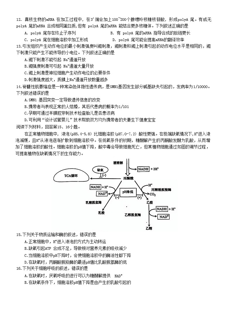 2024年5月北斗星盟高三适应性联考生物试卷第3页