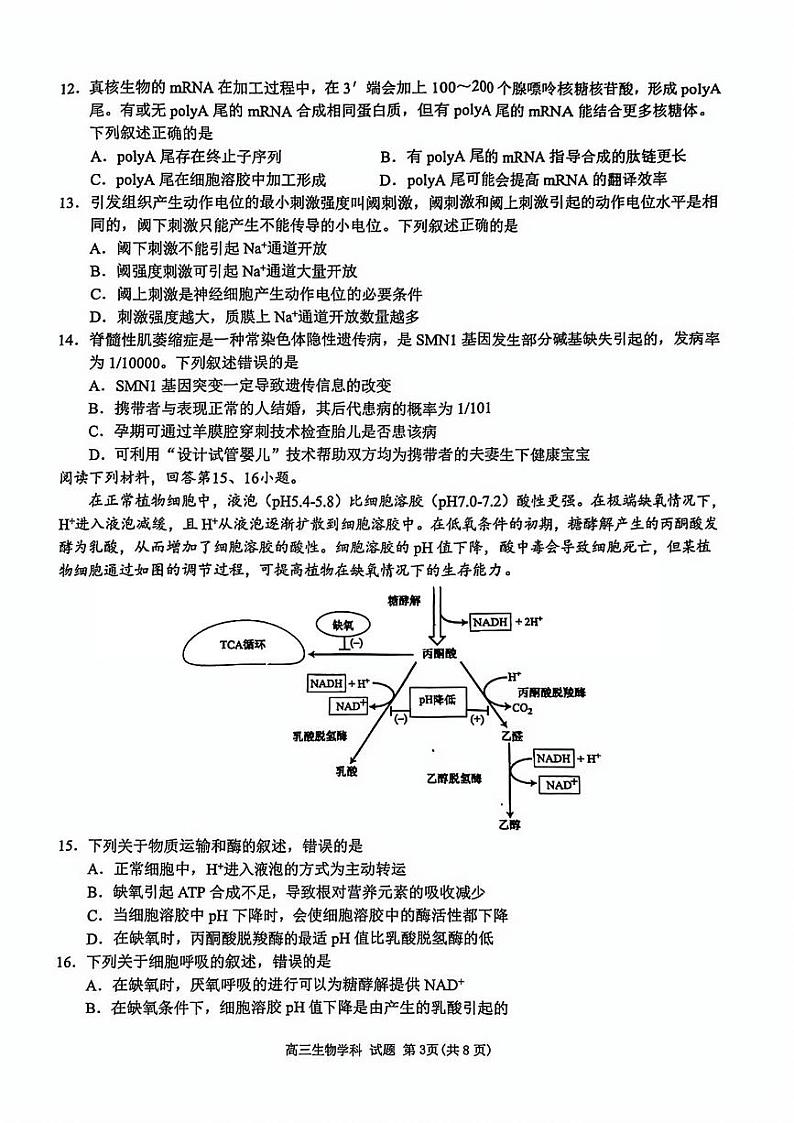 北斗星盟高三适应性联考生物试卷第3页