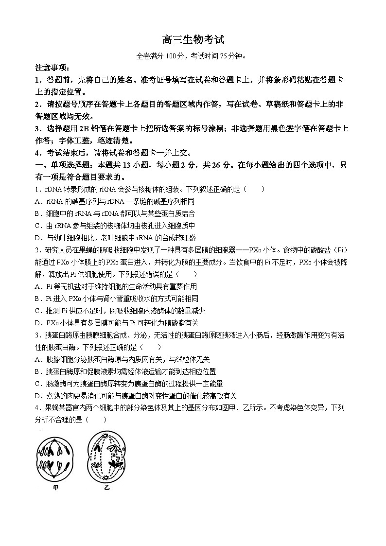 2024衡水部分示范性高中高三下学期三模试题生物含解析01