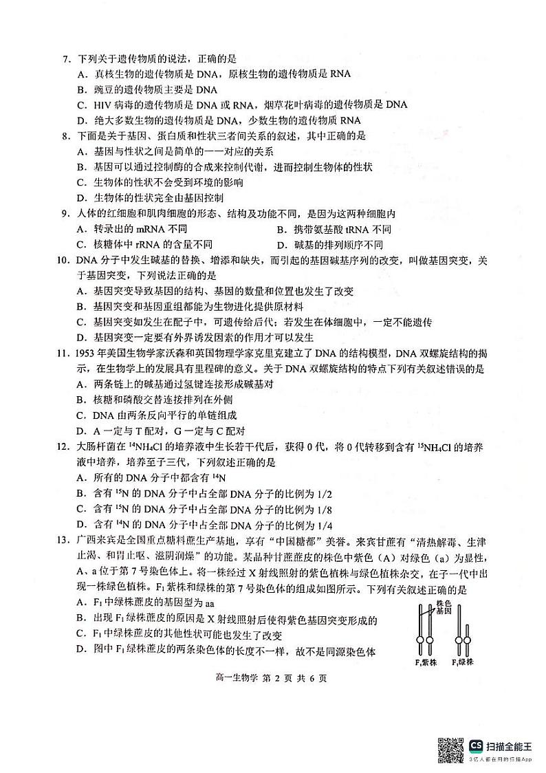 2024河池十校联盟体高一下学期5月月考试题生物PDF版含解析第2页