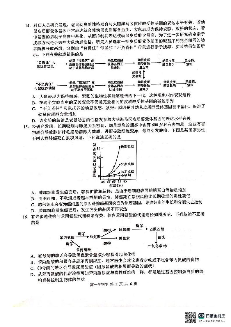 2024河池十校联盟体高一下学期5月月考试题生物PDF版含解析第3页