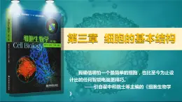 人教版2019高中生物必修1课件3-1细胞膜的结构和功能(新教材有限版)