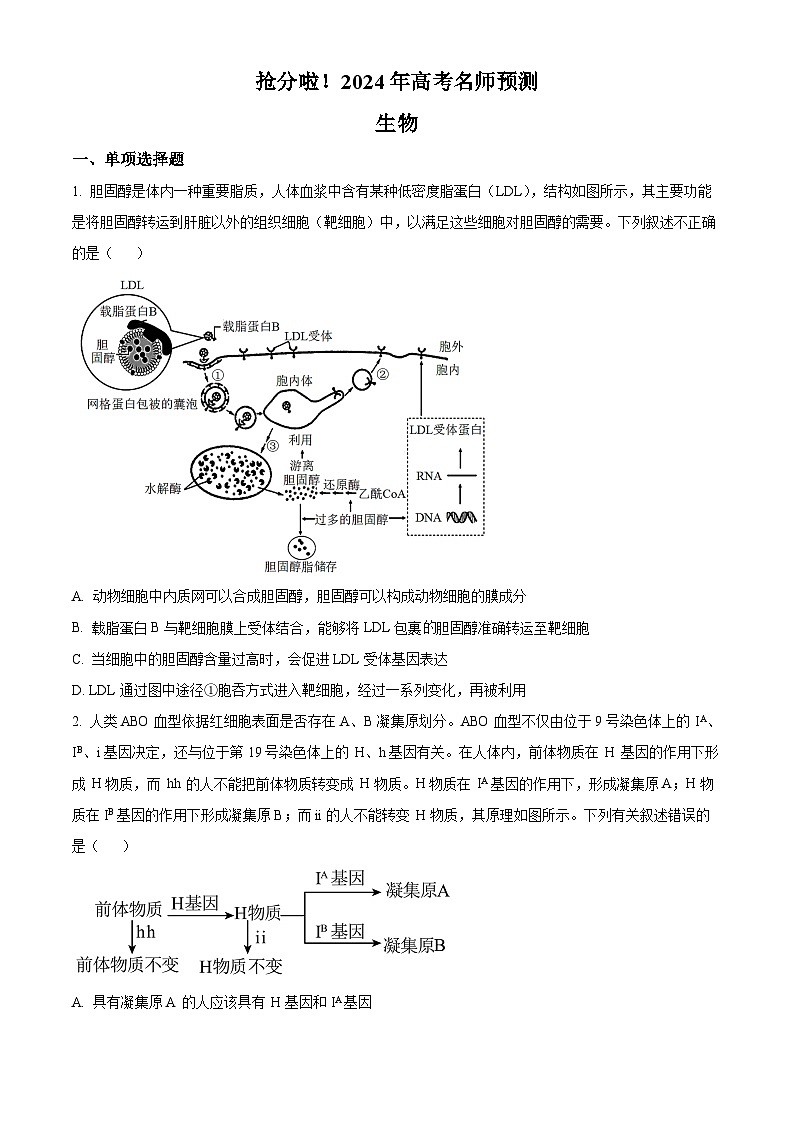 2024届甘肃省白银市靖远县第一中学高三模拟预测生物试题(原卷版+解析版)01