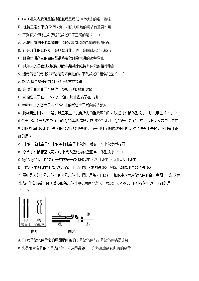 2024届河北省沧州市沧县中学高三三模生物试题(原卷版+解析版)02