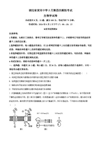 2024届湖北省黄冈中学高三下学期5月第四次模拟考试生物试题 （原卷版+解析版）