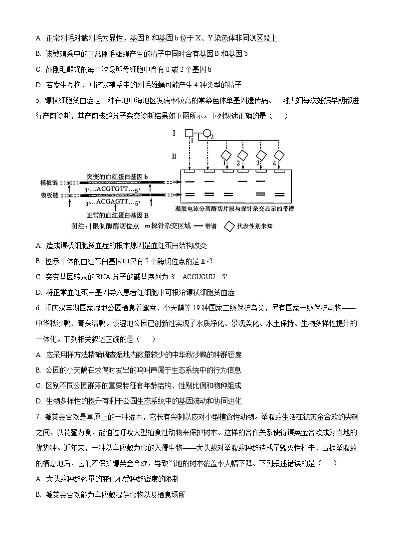 2024届江西省上进联考高考第二次适应性考试模拟预测生物试题(原卷版+解析版)第2页