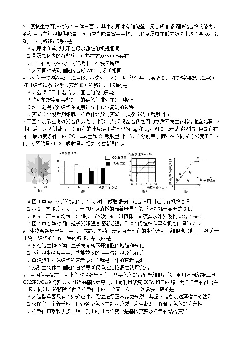 湖北省荆州中学2024届高三下学期第四次适应性考试生物试题(Word版附解析)02