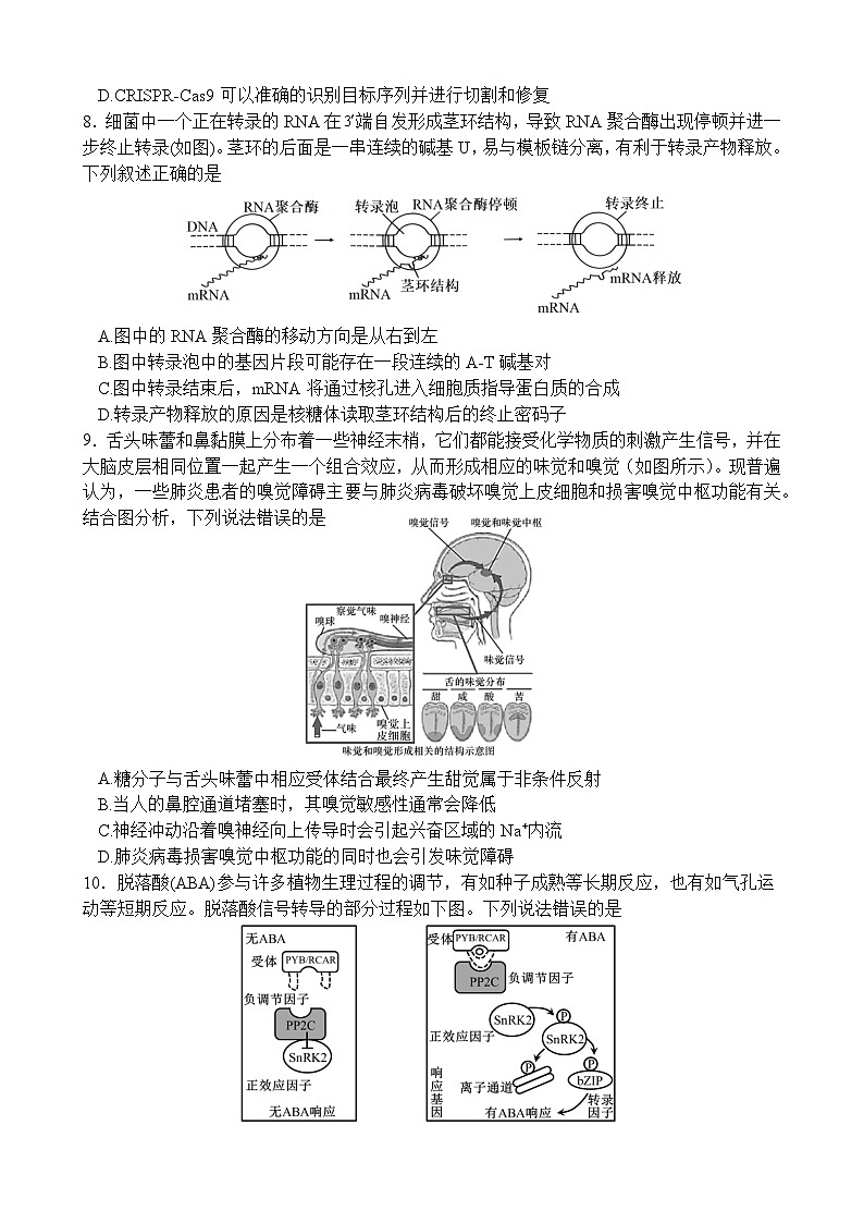 湖北省荆州中学2024届高三下学期第四次适应性考试生物试题(Word版附解析)03