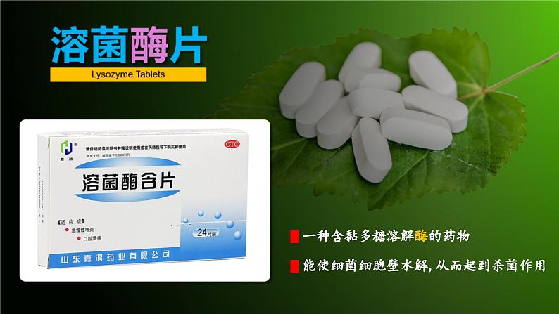 人教版2019高中生物必修1课件5-1降低化学反应活化能的酶第1课时(新教材有限版)03