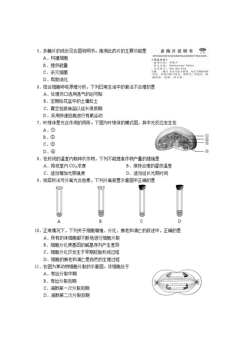 2023年6月-北京高中生物合格考试卷02