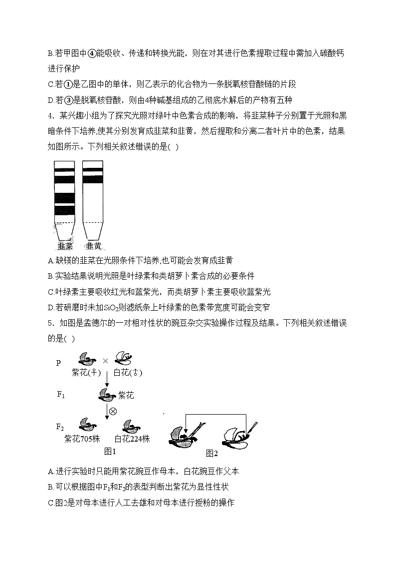 湖南省常德市沅澧2023-2024学年高一下学期期中考试生物试卷(含答案)02