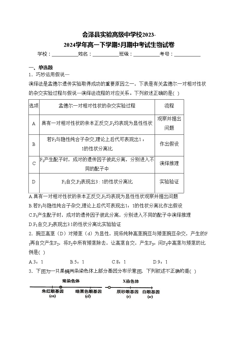 会泽县实验高级中学校2023-2024学年高一下学期5月期中考试生物试卷(含答案)第1页
