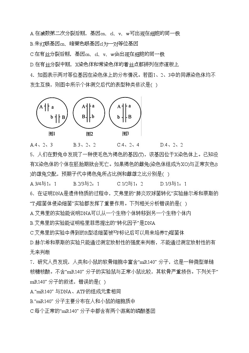 会泽县实验高级中学校2023-2024学年高一下学期5月期中考试生物试卷(含答案)第2页