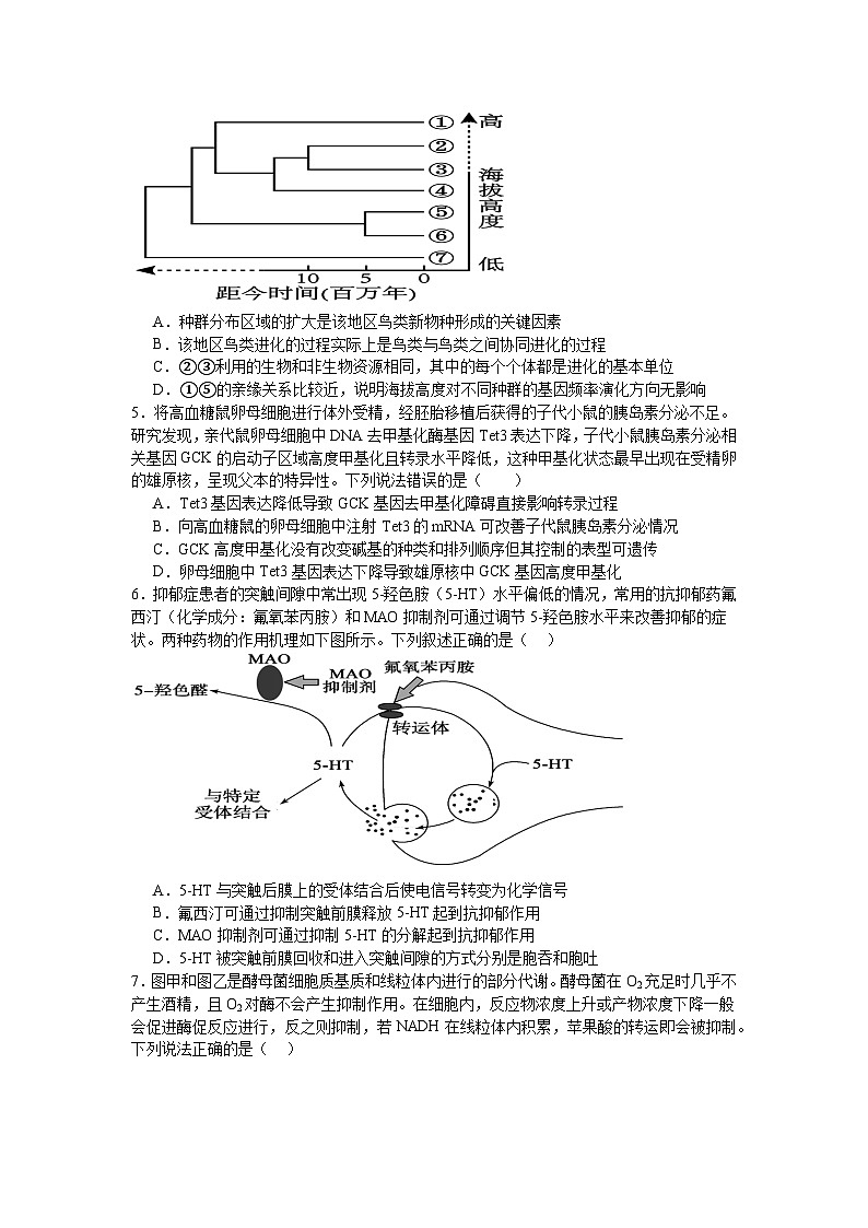 2024许昌高级中学高三下学期5月月考试题生物含解析第2页