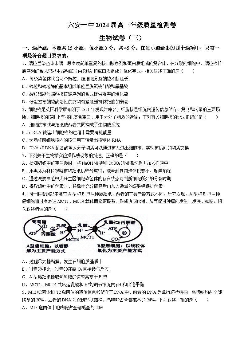 2024六安一中高三下学期质量检测(三)生物含解析01