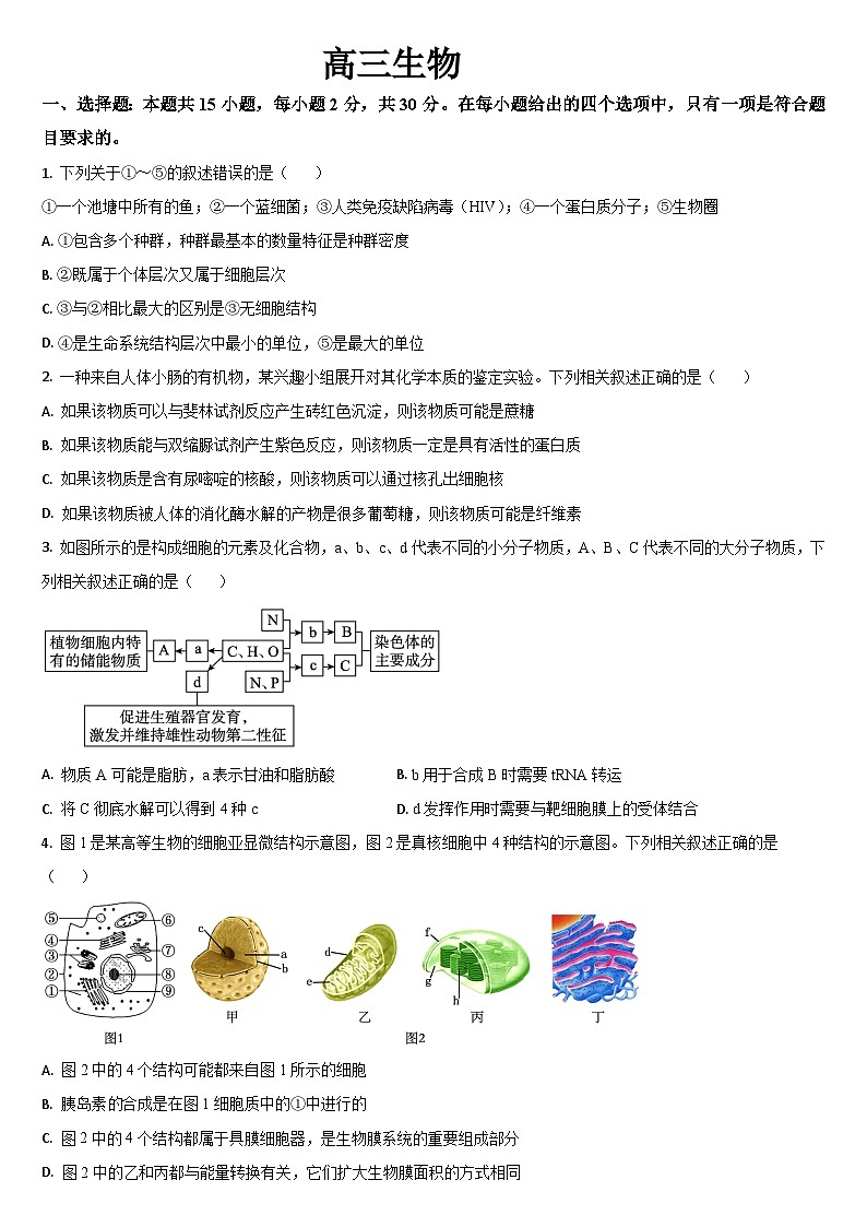 吉林省通化市梅河口市第五中学2024届高三下学期三模生物试题(Word版附答案)01