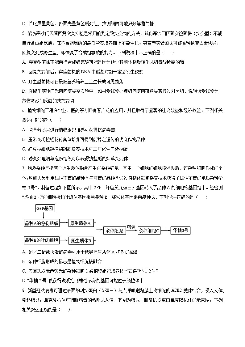 2024辽宁省实验中学高二下学期期中考试生物含解析第2页