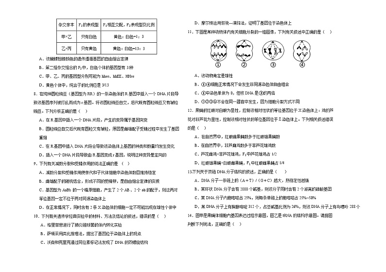 2024长春外国语学校高一下学期5月期中考试生物含答案第2页