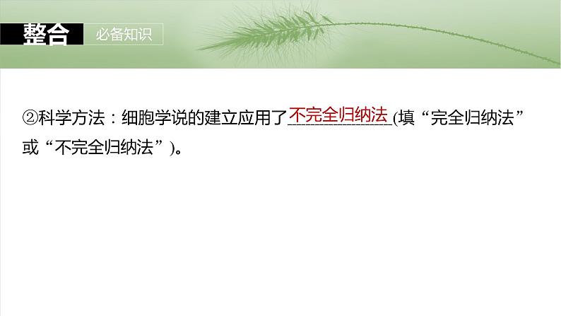 2024届高三生物一轮复习课件第1课时 走近细胞第6页