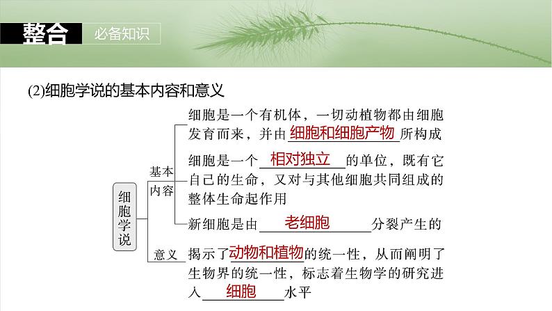 2024届高三生物一轮复习课件第1课时 走近细胞第7页