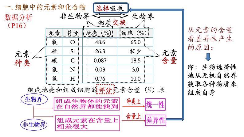 2024届高三一轮复习生物:细胞中的无机物、糖类和脂质课件04