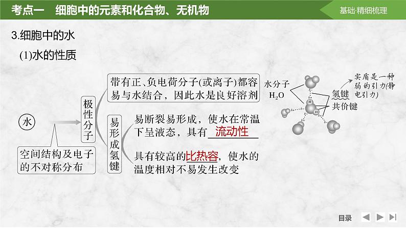 2024届高三一轮复习生物:细胞中的无机物、糖类和脂质课件07