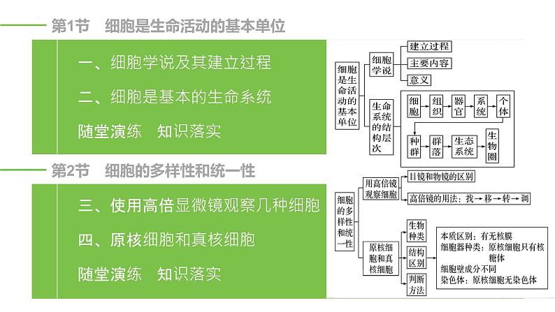 2024届高三一轮复习生物:走近细胞课件02