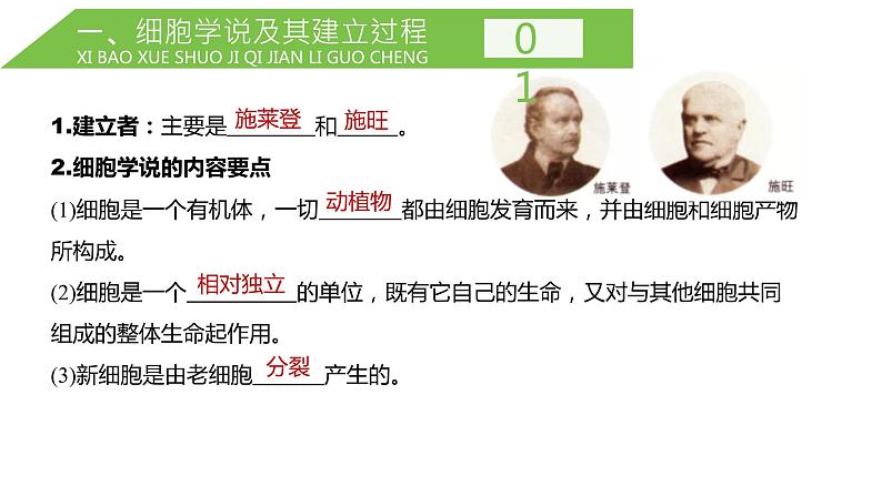 2024届高三一轮复习生物:走近细胞课件03