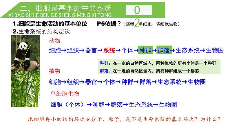 2024届高三一轮复习生物:走近细胞课件07