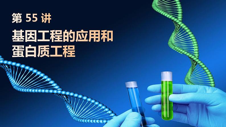 2025届高三生物一轮复习第55讲:基因工程的应用和蛋白质工程课件第1页