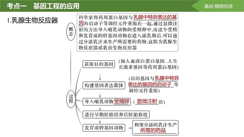 2025届高三生物一轮复习第55讲:基因工程的应用和蛋白质工程课件第4页