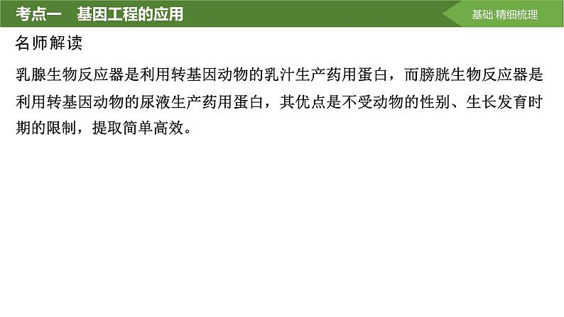 2025届高三生物一轮复习第55讲:基因工程的应用和蛋白质工程课件第5页