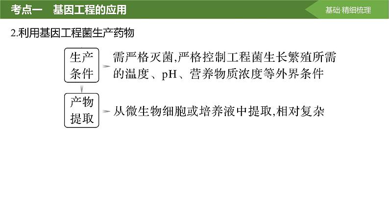 2025届高三生物一轮复习第55讲:基因工程的应用和蛋白质工程课件第7页