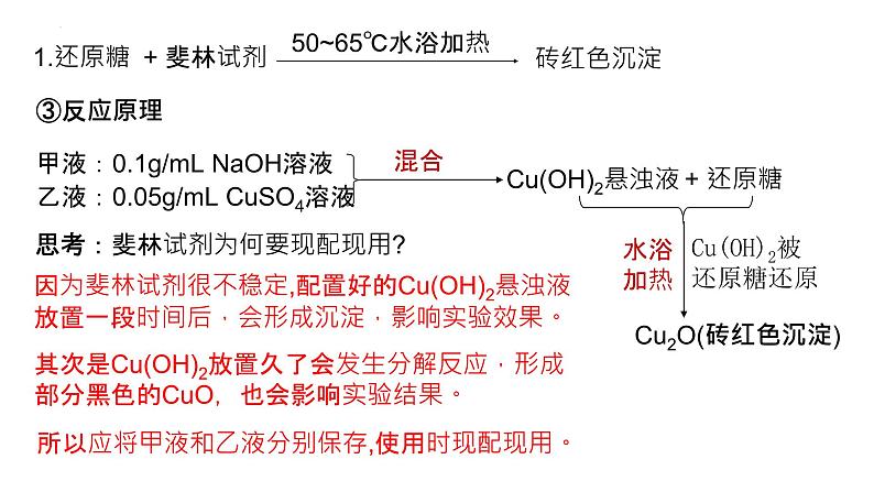 2025届高三生物一轮复习课件:检测生物组织中的糖类、脂肪和蛋白质第5页
