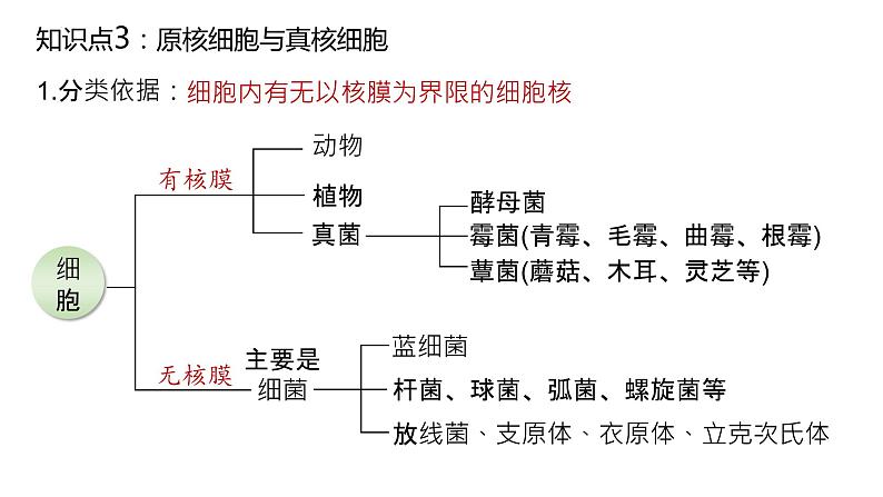 2025届高三生物一轮复习课件2:细胞的多样性和统一性第2页