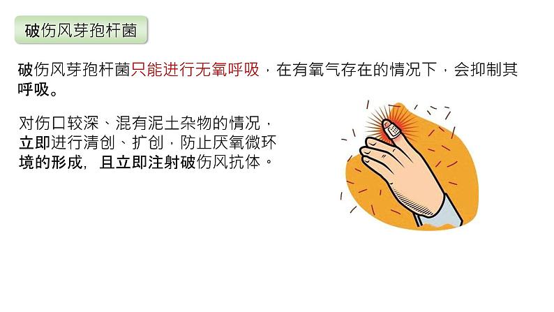 2025届高三生物一轮复习课件2:细胞的多样性和统一性第6页