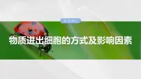 2025届高三生物一轮复习课件第10课时　物质进出细胞的方式及影响因素