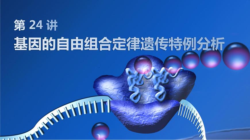 2025屆高三生物一輪復(fù)習(xí)生物:基因的自由組合定律遺傳特例分析課件第1頁(yè)