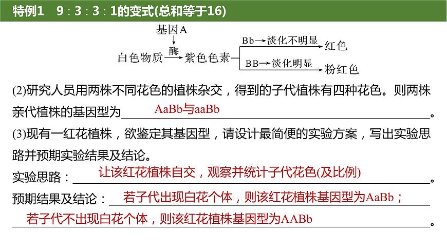 2025屆高三生物一輪復(fù)習(xí)生物:基因的自由組合定律遺傳特例分析課件第5頁(yè)