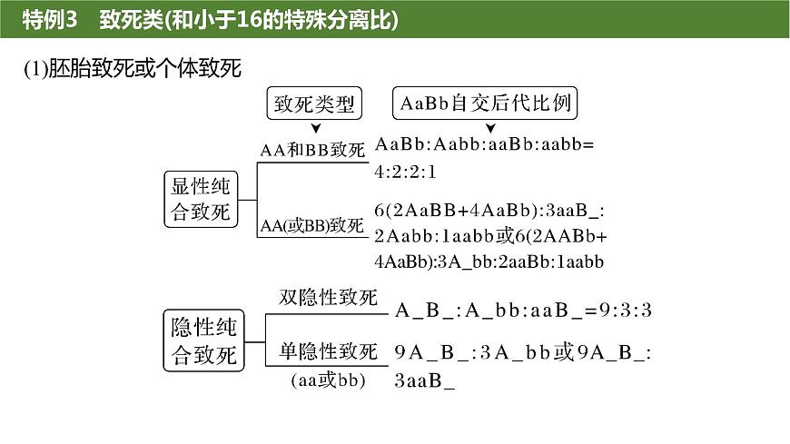 2025屆高三生物一輪復(fù)習(xí)生物:基因的自由組合定律遺傳特例分析課件第8頁(yè)