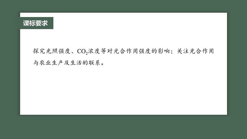 最新高考生物一轮复习课件(新人教版) 第3单元 第6课时 光合作用的影响因素及其应用第4页