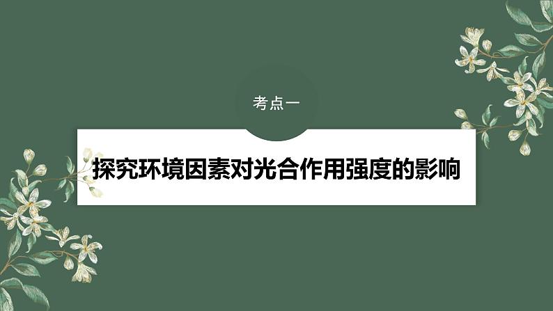最新高考生物一轮复习课件(新人教版) 第3单元 第6课时 光合作用的影响因素及其应用第6页