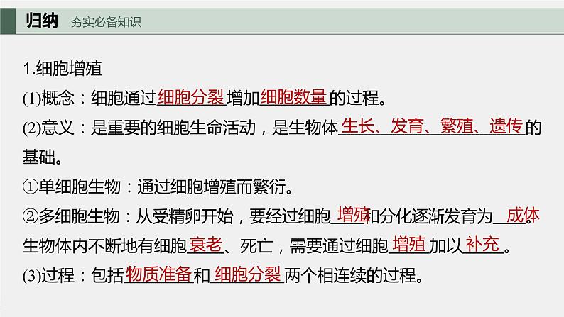 最新高考生物一轮复习课件(新人教版) 第4单元 第1课时 细胞的增殖07