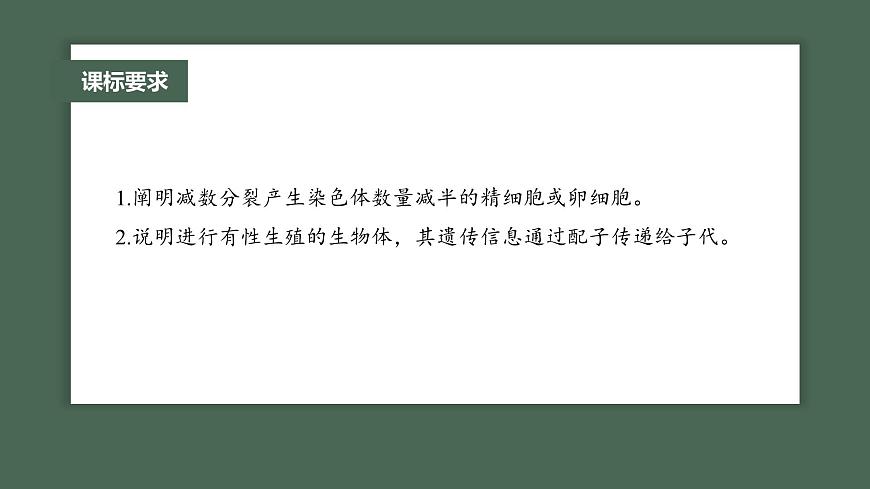 最新高考生物一輪復(fù)習(xí)課件（新人教版） 第4單元　第3課時(shí)　減數(shù)分裂和受精作用第4頁(yè)